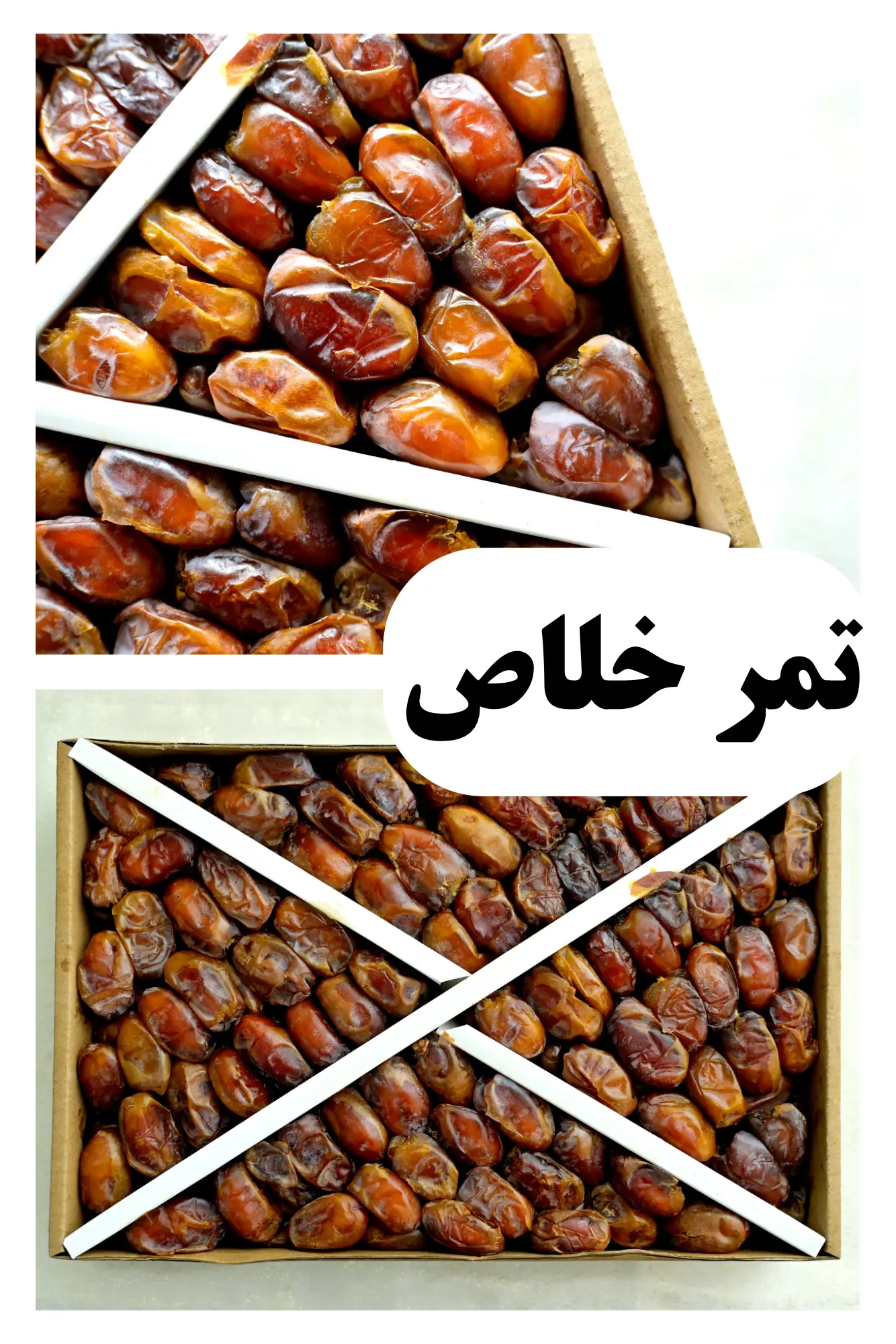 تمر اخلاص فاخر — عبوة 3 كيلو.